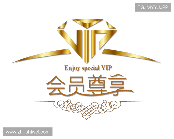 九州体育娱乐平台VIP会员制度详解,尊享专属福利与个性化服务